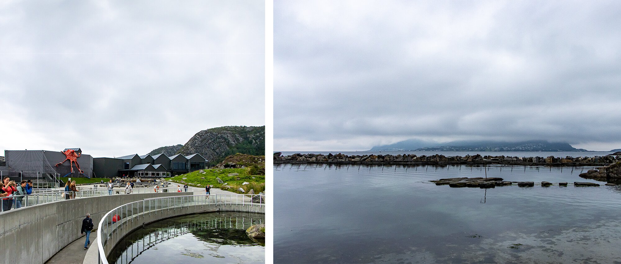 Workation in Norwegen, großes Aquarium in Ålesund, Atlanterhavsparken