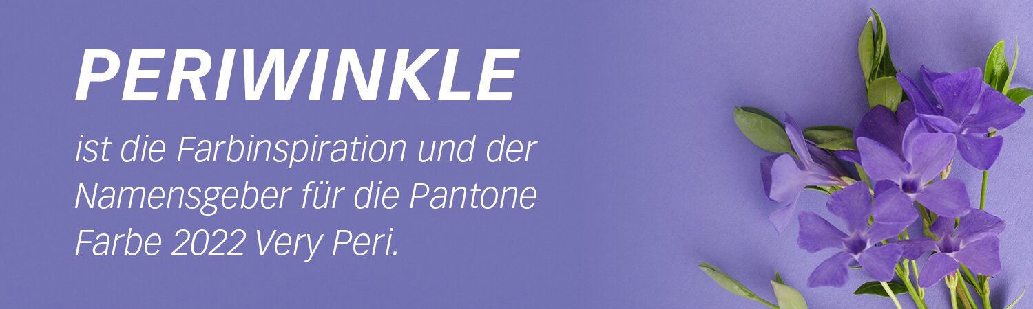 Periwinkle ist Farbgeber und Inspiration für die Pantone Farbe des Jahres 2022 Very Peri