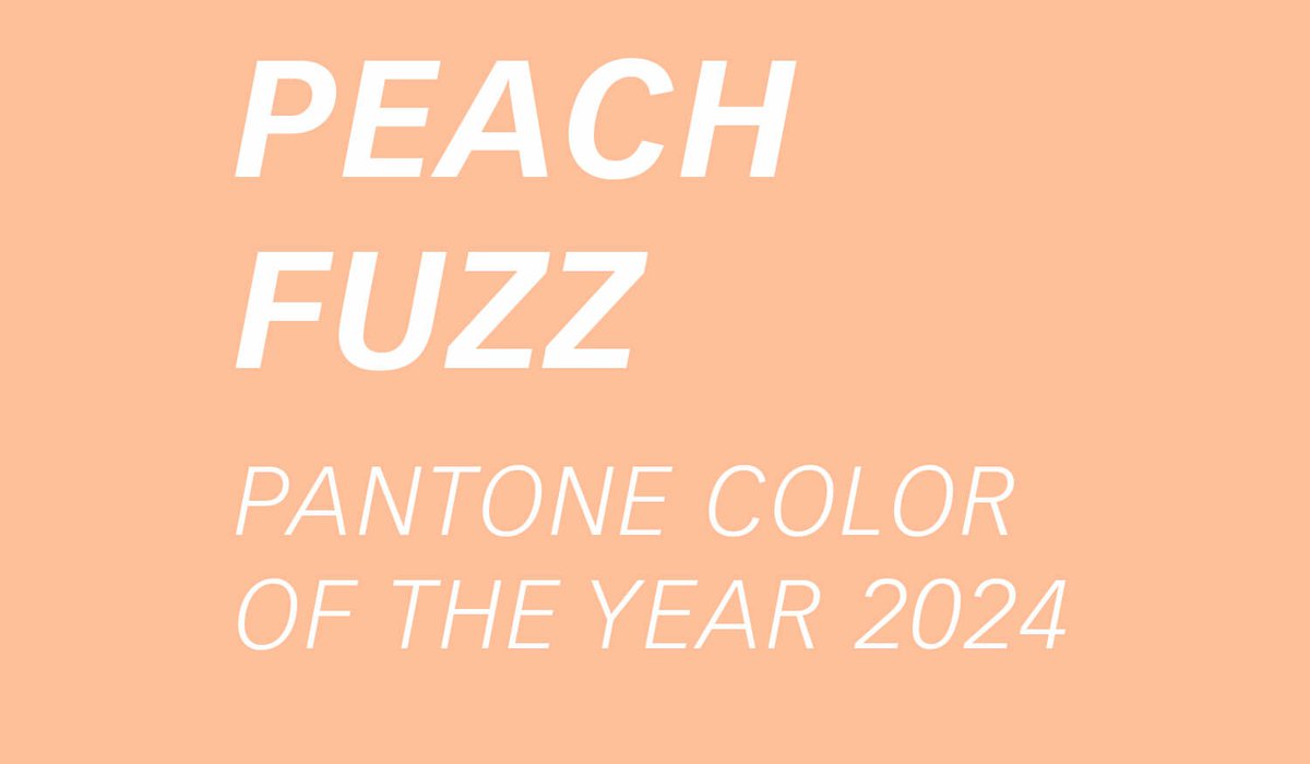 Pantone Farbe des Jahres 2024 Peach Fuzz im Detail vorgestellt