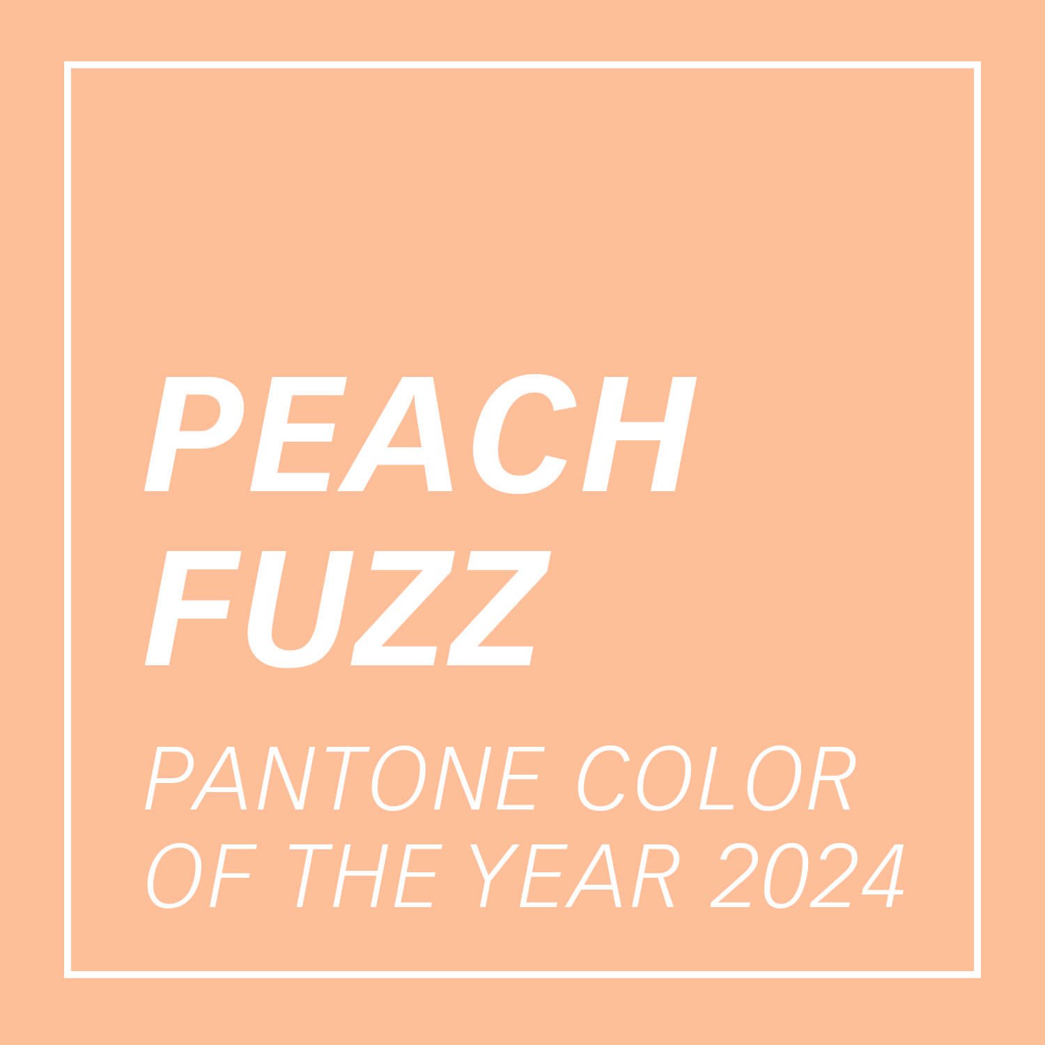 Pantone Color of the Year 2024 Peach Fuzz dargestellt als vollflächige Farbe