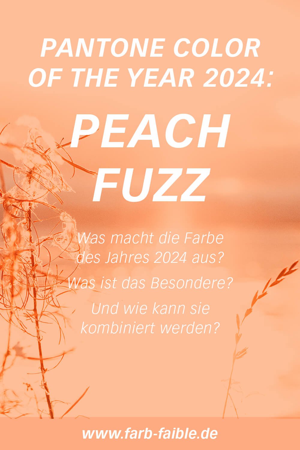 Pantone Farbe des Jahres Peach Fuzz vorgestellt – Sonnenuntergang am Wasser