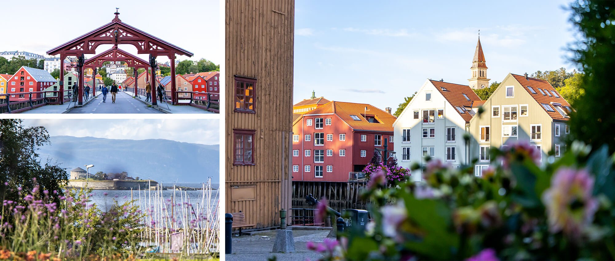 Workation in Norwegen, die Innenstadt von Trondheim mit der alten Brücke (Gamle Bro) und die Holzhäuser von Trondheim am Wasser