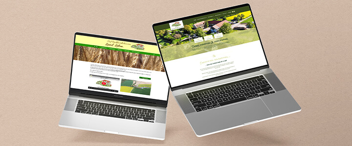 Mit Liebe restauriert, mit Verstand digitalisiert Digitales Heimkommen mit einer neuen Website